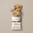 Chocolate Chip Cookie Dough (10-Pack)